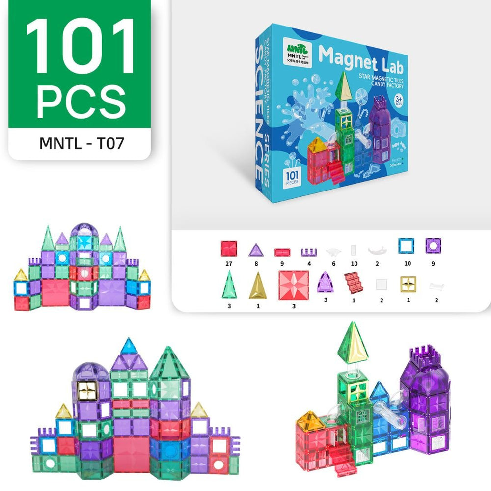 101 Pcs MNTL Magnet Lab